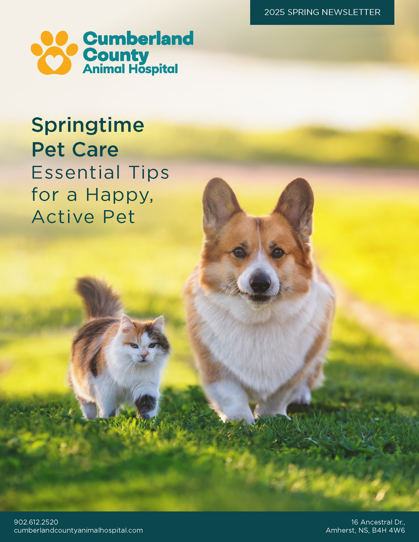 Springtime Pet Care: Essential Tips for a Happy Active Pet